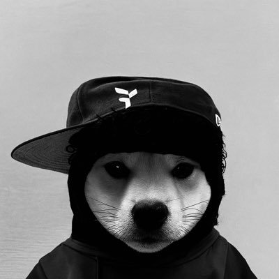 Habeeb_jr's profile picture. 📉📈