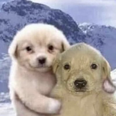 MarkA96560's profile picture. 🇺🇸