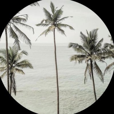 2issf's profile picture. ٢٠:١٧٦:٥٧ سنابي متبند الرياض .