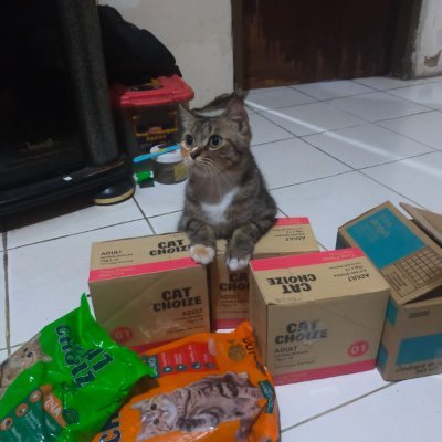 devykurniawan's profile picture. FAT human 
Prodigyddk Huge fans