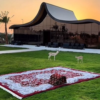 faisalmool's profile picture. 