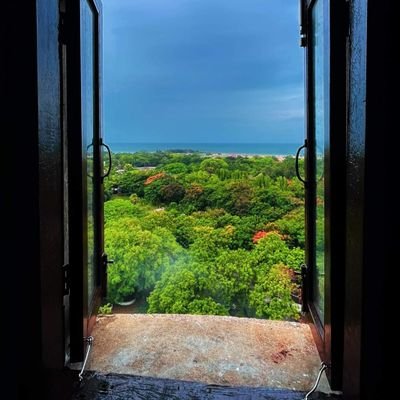 deenizrsln's profile picture. 