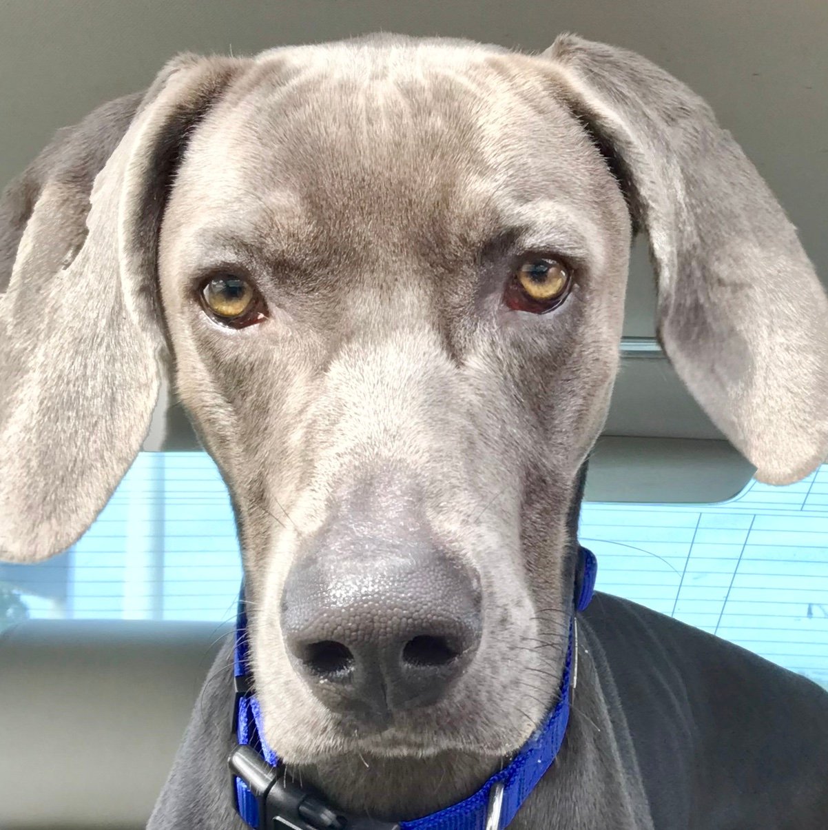 fmbucky75's profile picture. 