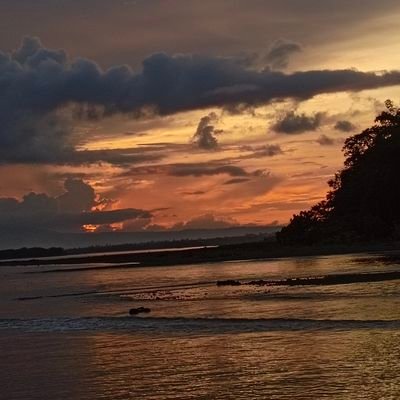 itsurgirlcybl's profile picture. bwesit