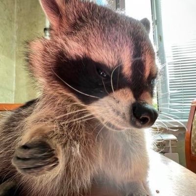 valfan2jul's profile picture. 