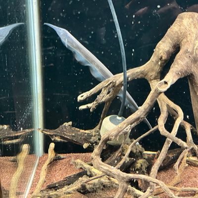 _mununu's profile picture. いいねマシン👍 心を動かされたことや 趣味戯言。生きる意味なんてわからないけど だから せめて いままで生かしてもらった今日までを 返すために生きられたらなぁ