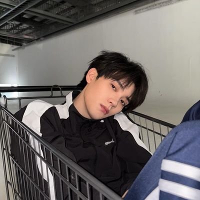 chntllyfrnc's profile picture. sc. severin , revamping.