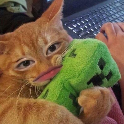 mumikuuu's profile picture. หาเงินกดบัตรคอนลูก🥹