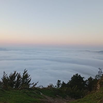 TeilletMar95685's profile picture. 