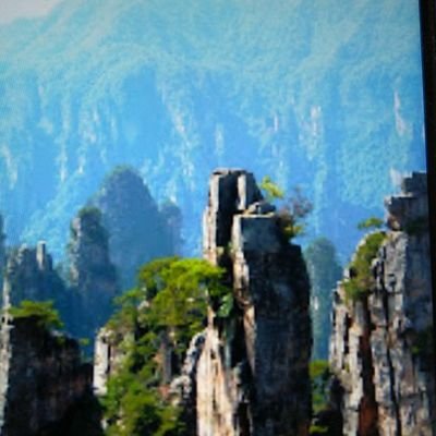 NatalieGre26354's profile picture. 