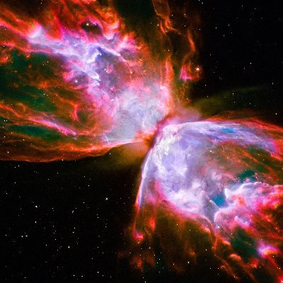 CryptoLonix's profile picture. 