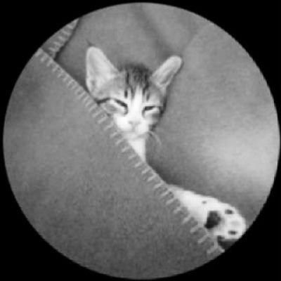 sleepsprecious's profile picture. 
