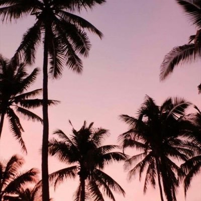 sadanalba's profile picture. ✯thankful, grateful and blessed