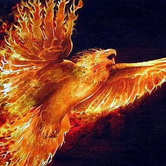 ClaudiaMPGL's profile picture. 