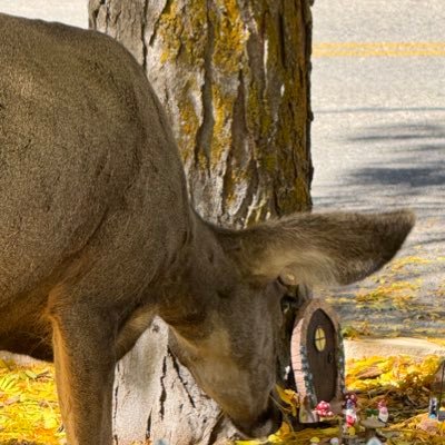 monicabroder's profile picture. 