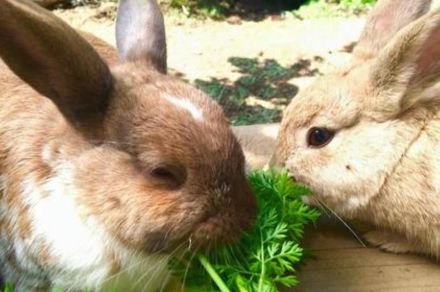 usa17oyako722's profile picture. 30代/家庭菜園/掃除/お風呂♨️/読書/起きている事は他人事じゃない