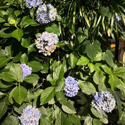 __sperlfortwo's profile picture. we dont know each other and it will stay that way!! i love blocking and reporting ppl!!