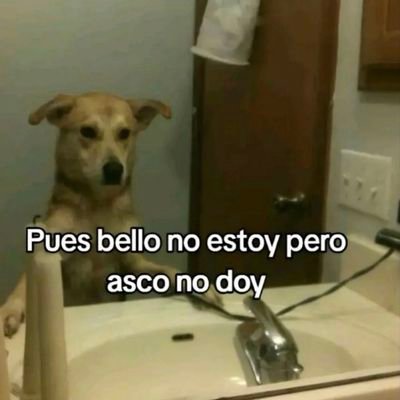 lauti_juan's profile picture. I learnd to live with the way that it hurts