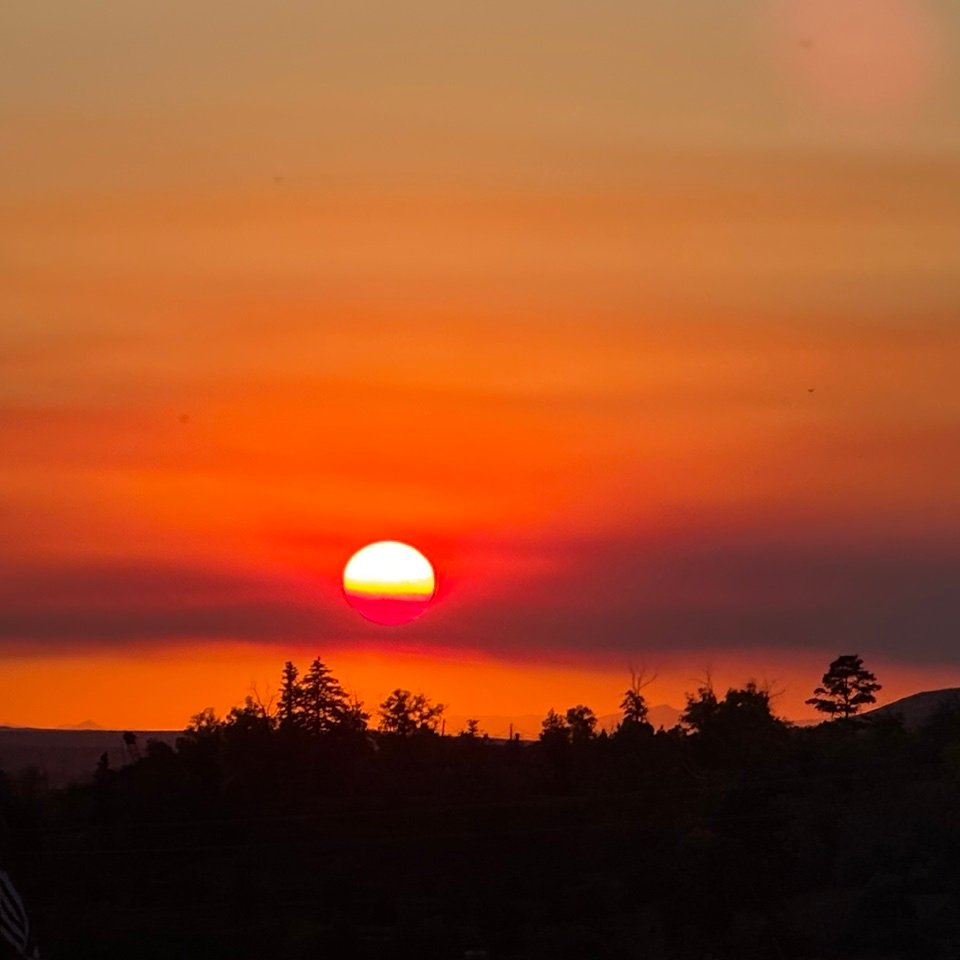 TheCardinal406's profile picture. 