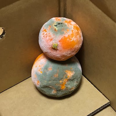 W4suretai's profile picture. 20代前半。2026年社労士受験予定/保有資格 : 宅建、FP2級/ 勉強の記録とモチベのためアカウント作りました。無言フォロー失礼します🙏  最近YouTubeを始めました🫠