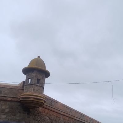 RayneRamiro's profile picture. Política , innovación agraria,