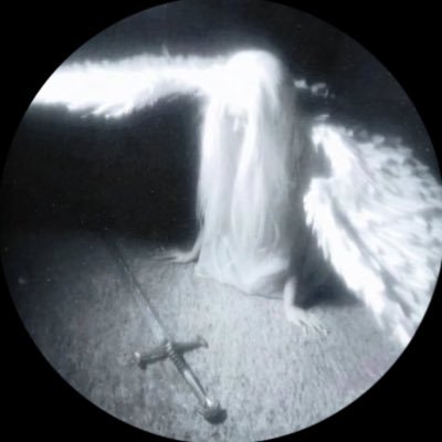 8mmmmr's profile picture. intj