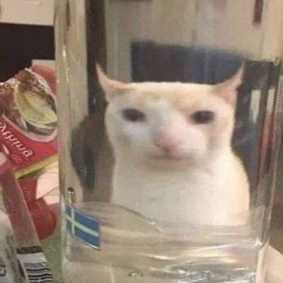 _2jiin's profile picture. 예쁜 여자들의 앙.