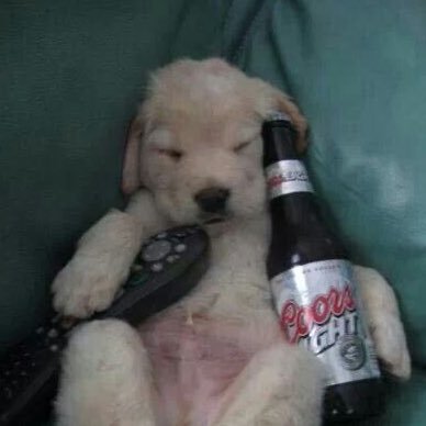 tubglow's profile picture. 🏳️‍🌈 not a willne enjoyer this is a social experiment