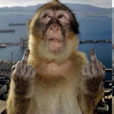rchiepooh's profile picture. 
