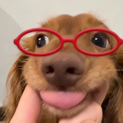 @Pdapaaar