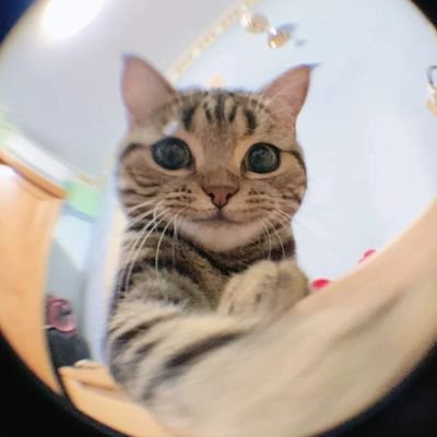 immaspan's profile picture. 