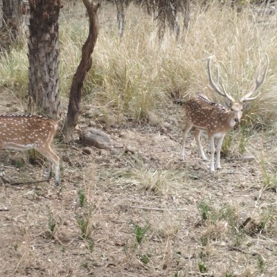 ZiyaurR50060946's profile picture. Great Enthusiasm towards Socio economic growth and development