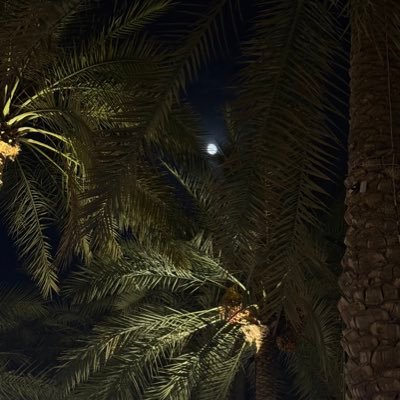 سارّة أينما كنت ..