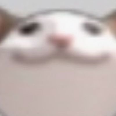 thallessellaht's profile picture. I owe myself a life well lived