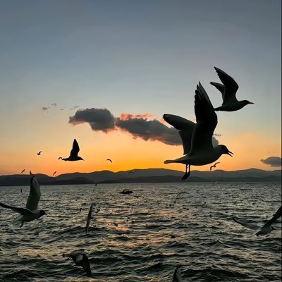 QmDeve's profile picture. 