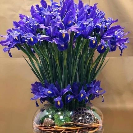 fakeittilmake0's profile picture. I like digital currencies.