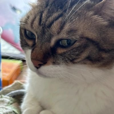 ARTISTBEE4's profile picture. 