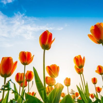 iwillBtoB's profile picture. 🌿