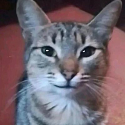 SangYoonSan's profile picture. 