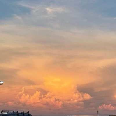 Rei95757795's profile picture. 20↑ 成人高卒済 夢 腐何でも 地雷なし 見る専