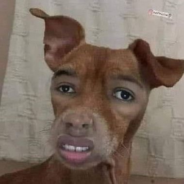 RamosYuro's profile picture. santa cruz, é isso aí