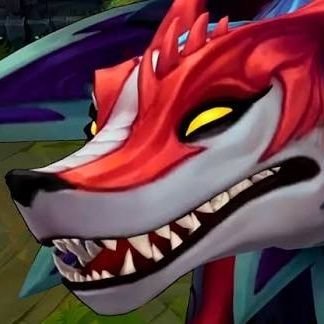 acervycachorra's profile picture. Não são os mais fortes que sobrevivem, são os mais unidos🐕main acc (@glassesmaisuma)🐕minha dona (@amandxxr)