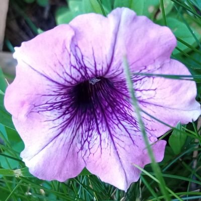 _p13rc3's profile picture. don't dm //
i'll never post