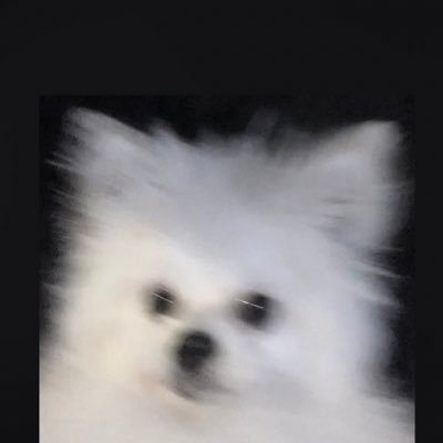 shimonones's profile picture. 白い夢の中で、まだ名前のない朝を待つ☁️