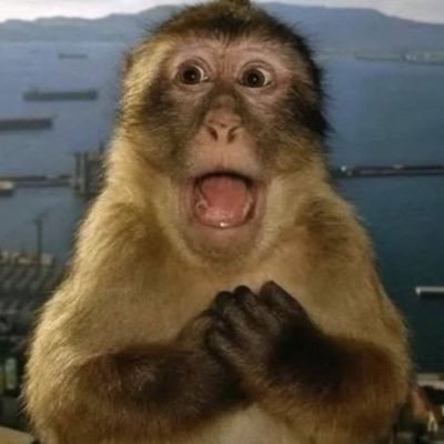 kanialright's profile picture. maaf sok asik