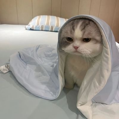 Builder__OP's profile picture. 
