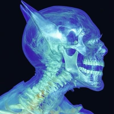 PunkMonkv3's profile picture. 