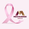 MexiquenseR's profile picture. 🔊 ¡La radio pública del #EdoMex! 91.7 FM Amecameca | 104.5 FM Valle de Bravo | 91.7 FM Metepec | 88.5 FM Zumpango | 1600 AM Metepec | 1080 AM Tultitlán