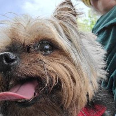 Jenniferre2270's profile picture. 