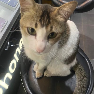 kinderjoymahal's profile picture. sedikit senang banyak keluhan